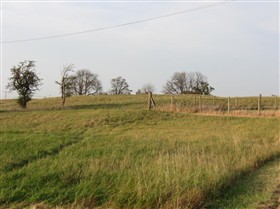 Photo:Remains of outer counterscarp bank of Woodwalton Castle, 2011.