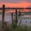 Page link: March - An Island in the Fens