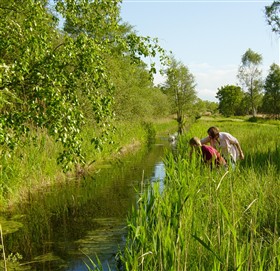 Photo:Woodwalton Fen