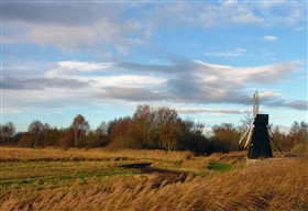 Photo:The wooden windpump at Wicken Fen, the last working example in the Fens, stands proud on the undrained Sedge Fen.